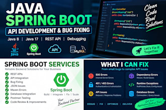 fix java spring boot bugs and develop rest apis