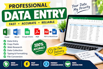 do accurate data entry, web research, copy paste, excel and PDF conversio