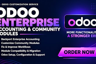 customize odoo community erp and backport odoo enterprise accounting modules