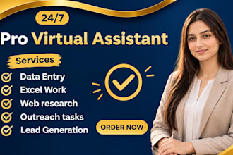 be your VA for excel data entry, web research and lead generation