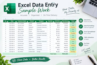 accurate data entry and excel task