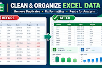 clean, format, and organize excel data