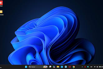 be your remote IT support, speed up and optimize your windows PC