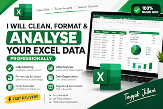 clean, format and analyse your excel data professionally