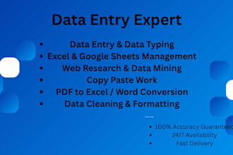 do professional data entry web research and excel copy paste work