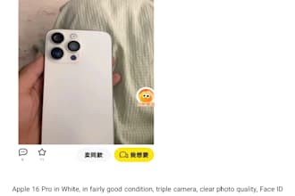 translate chinese to english and english to chinese professionally
