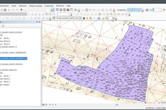 do gis mapping and spatial data digitization