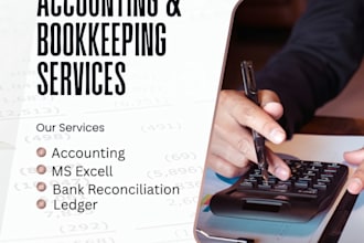 provide professional accounting, bookkeeping and financial