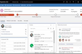 do all type of dynamics CRM ce development for u