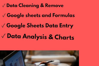 do data entry and data processing in google sheets