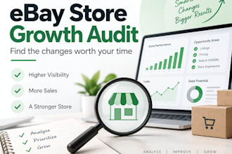 audit your ebay store for sales and profit opportunities