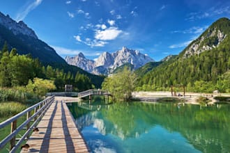 translate any text from slovenian to english