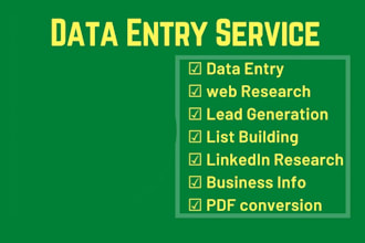 do data entry, excel data entry