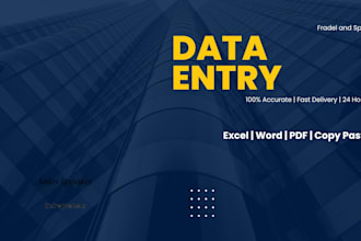 do fast and accurate data entry in excel and word