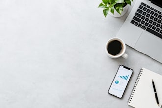 data entry, social media, logo, and web design