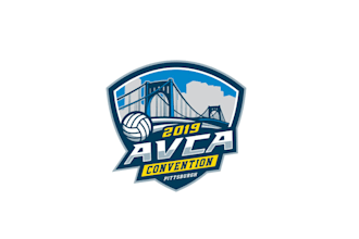 design a professional and creative volleyball logo