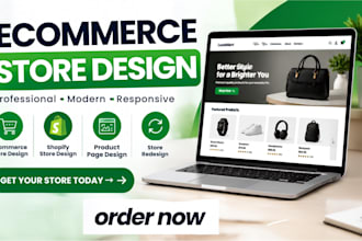 design a professional ecommerce store for your online business
