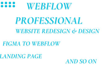 be your webflow developer and build a responsive webflow website