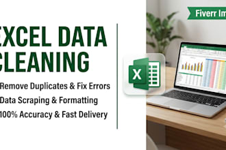 do excel data cleaning, data entry, formatting, and data verification