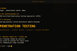 perform web application penetration testing and security audit