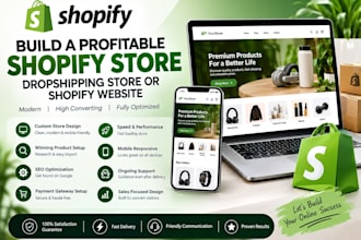 build a profitable shopify store, dropshipping store or shopify website