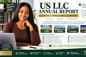 file your US llc annual report and handle state compliance