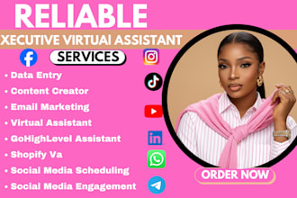 be executive virtual assistant, data entry, admin task, web research shopify VA
