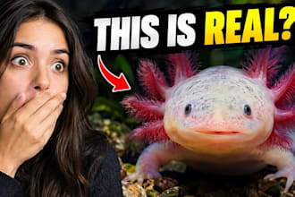 design a professional youtube thumbnail that gets clicks
