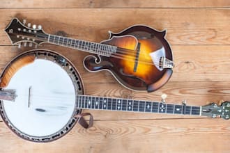 sing country ballad music banjo violin bluegrass