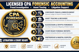 uncover fraud, trace assets, and provide forensic litigation support as CPA