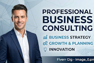 provide professional business consulting