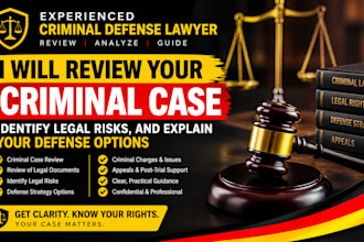 review your criminal case and identify legal risks and defense options