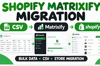 convert vendor file to shopify CSV matrixify bulk data transfer store migration