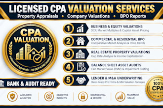 perform cpa audit property valuations, company valuations, and bpo report