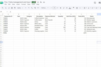 organize your bookkeeping and financial data in excel