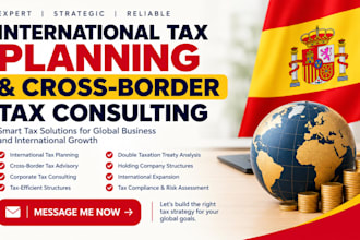 provide international tax planning and cross border tax consulting