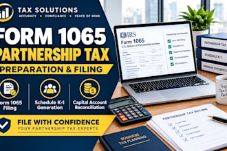prepare and file form 1065 partnership and multimember llc tax returns