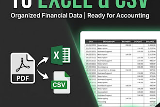 clean up excel spreadsheets and build custom financial dashboards