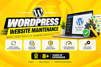 maintain, update and secure your wordpress website