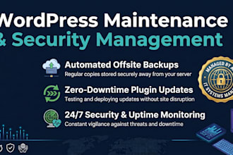 install and setup wordpress themes, plugins, and demo content