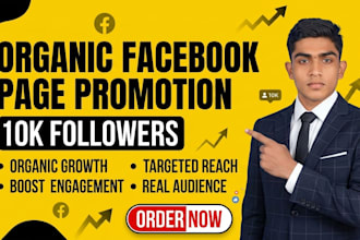 do facebook page growth and promotion