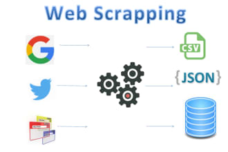 develop a custom web scraping script with data insertion to your database