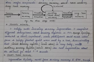 do professional and neat handwriting services