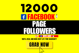 do organic facebook followers promotion per page