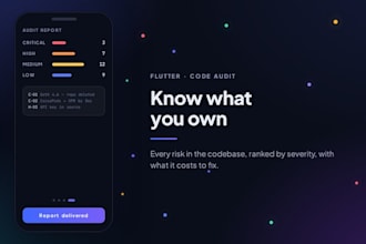 audit your flutter codebase and make it safe to build on