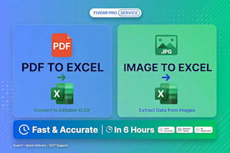 do accurate excel data entry, copy paste, and web research in 12 hours