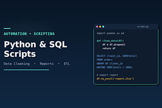 write python scripts, sql queries, and solve programming tasks
