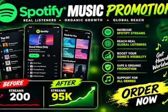 promote your spotify music using targeted ads for organic and real growth