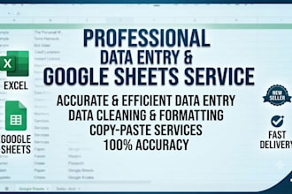 do professional data entry and google sheets work