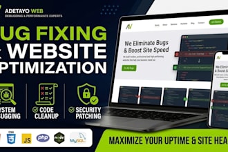fix website bugs errors and coding issues